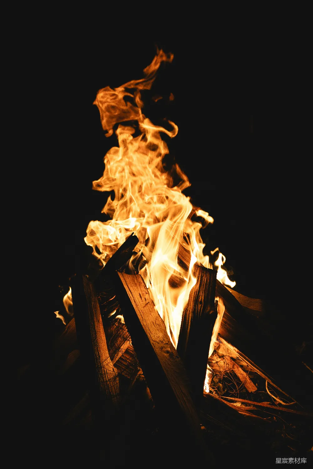高清摄影 篝火 夜晚 温暖 户外 自然 篝火的温暖