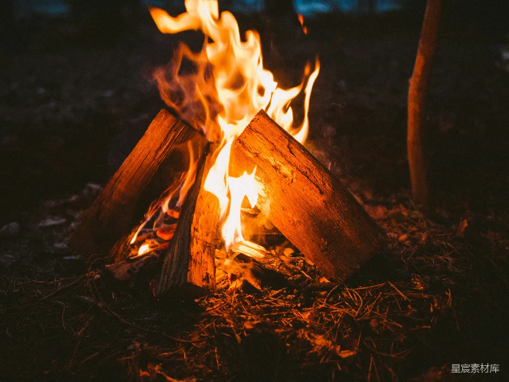 高清摄影 篝火 自然 温暖 户外 夜晚 篝火夜晚的温暖