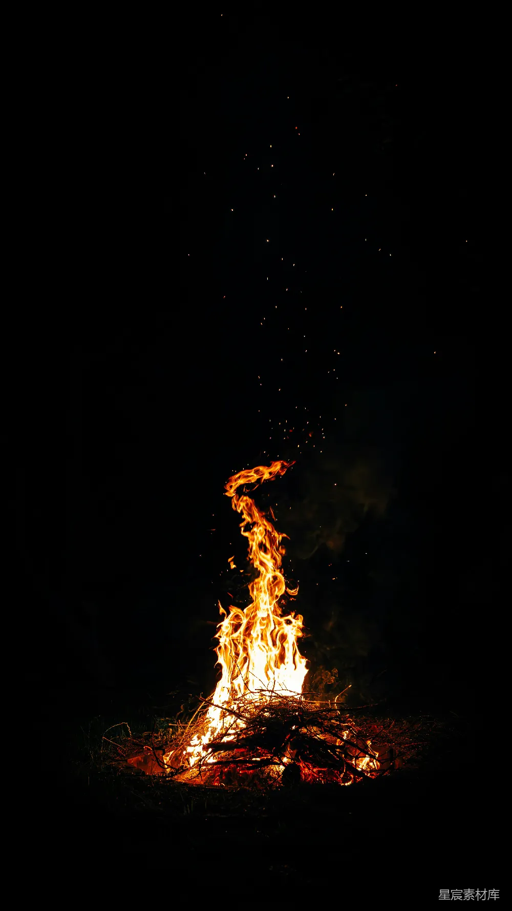 高清摄影 篝火 夜景 温暖 黑暗 自然 夜幕下的篝火