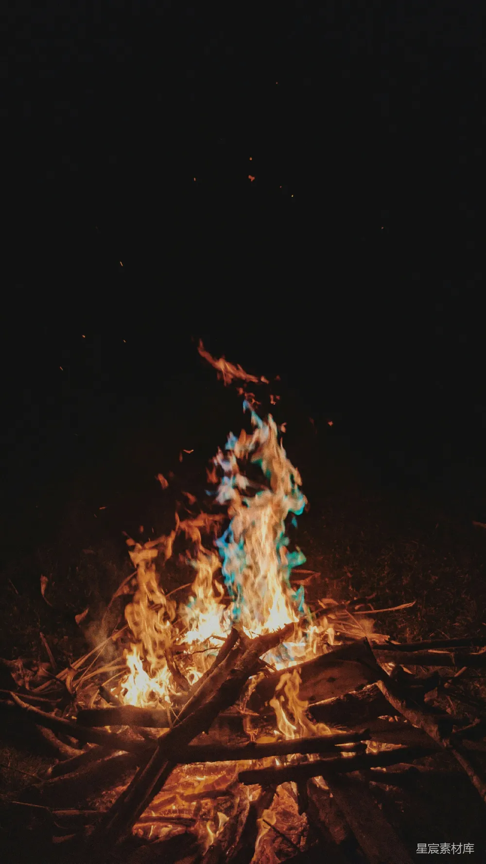 高清摄影 篝火 夜晚 自然 户外 温馨 夜幕下的篝火
