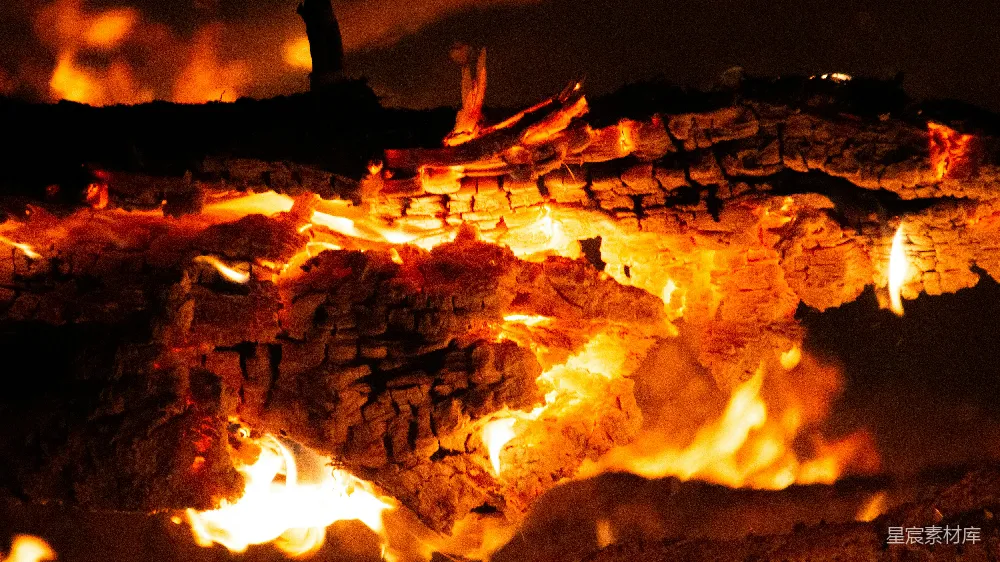 高清摄影 篝火 夜景 温暖 户外 自然 夜幕下的篝火