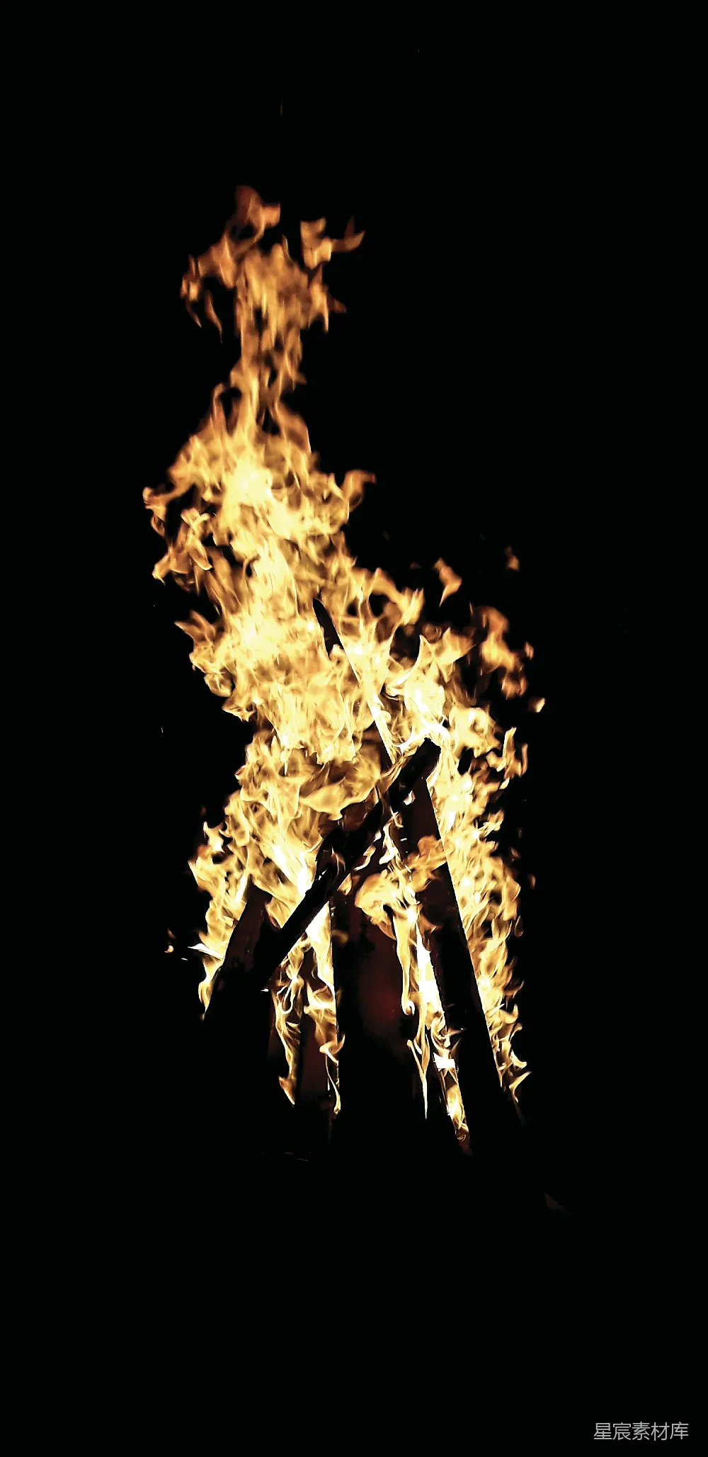 高清摄影 篝火 火焰 夜晚 温暖 自然 篝火燃烧
