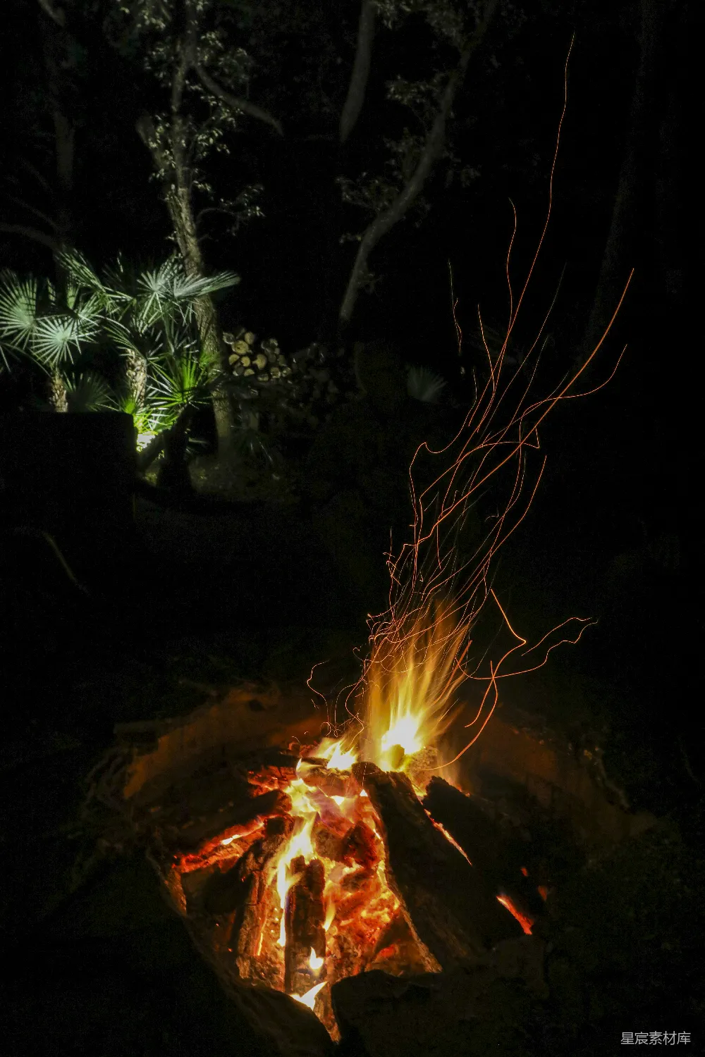 高清摄影 篝火 夜晚 户外 自然 温暖 夜幕下的篝火