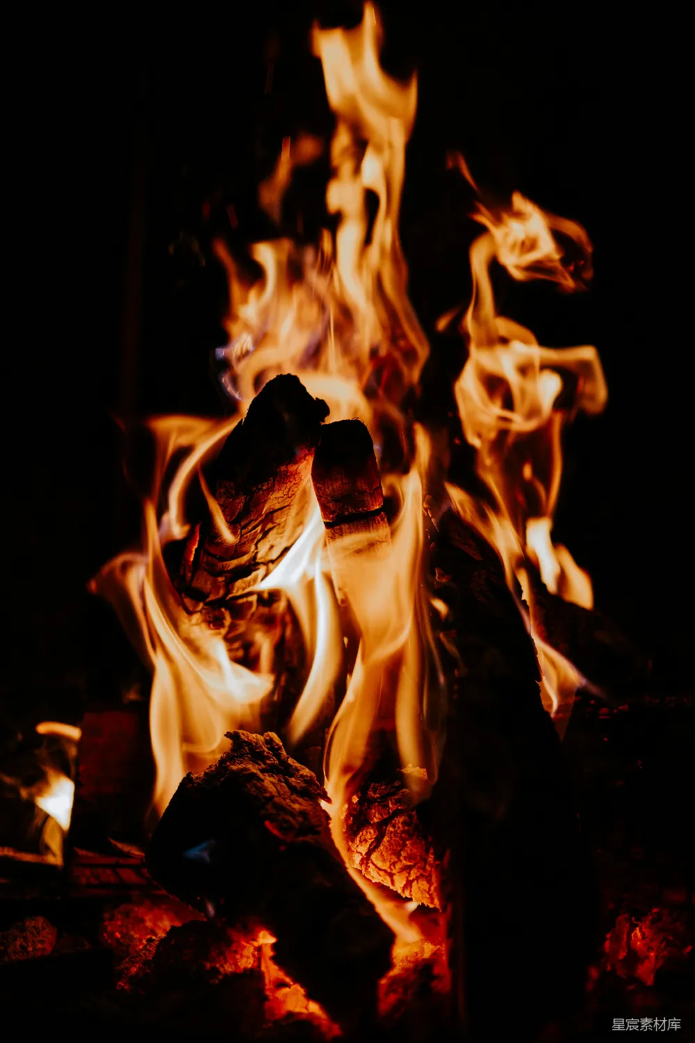 高清摄影 篝火 温暖 夜晚 自然 户外 篝火的温暖时刻