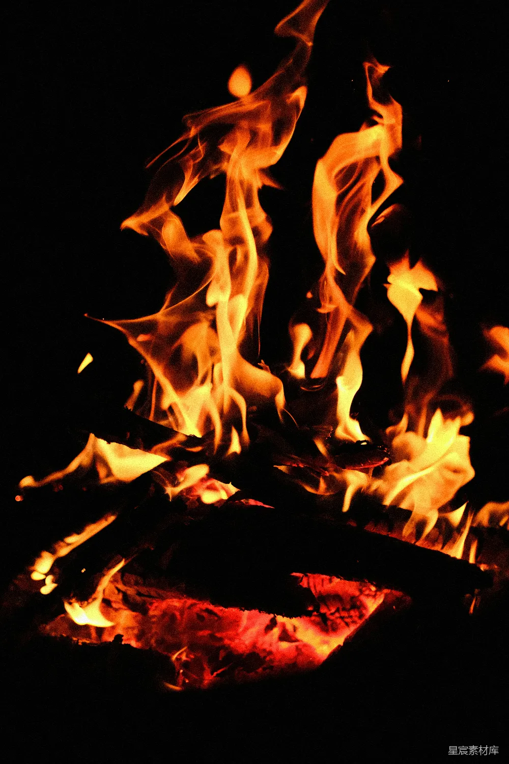 高清摄影 篝火 火焰 夜晚 温暖 自然 夜幕下的篝火