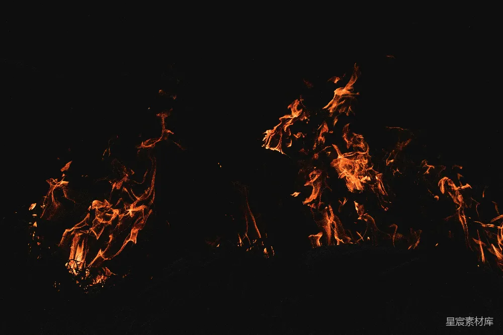 高清摄影 篝火 夜景 温暖 自然 宁静 夜幕下的篝火