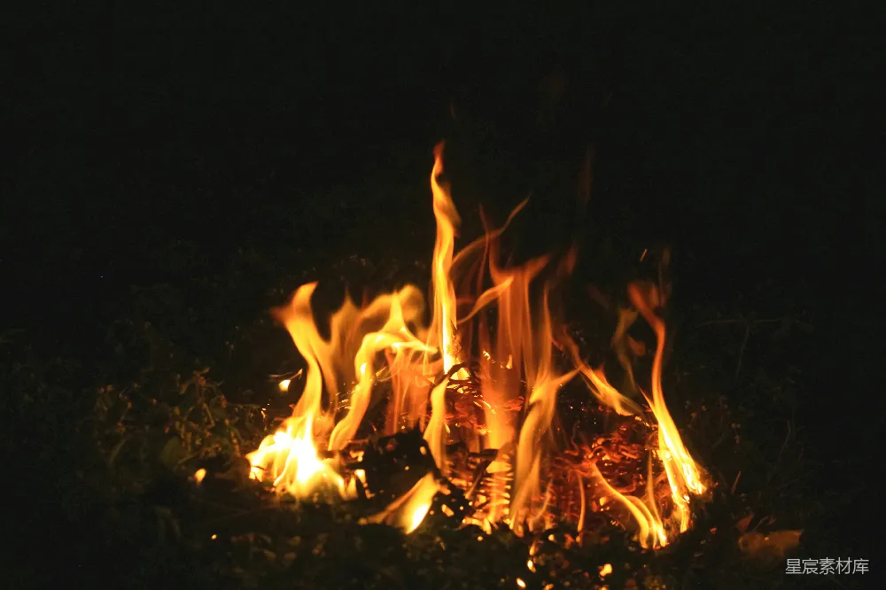 高清摄影 篝火 夜晚 温暖 自然 户外 夜幕下的篝火