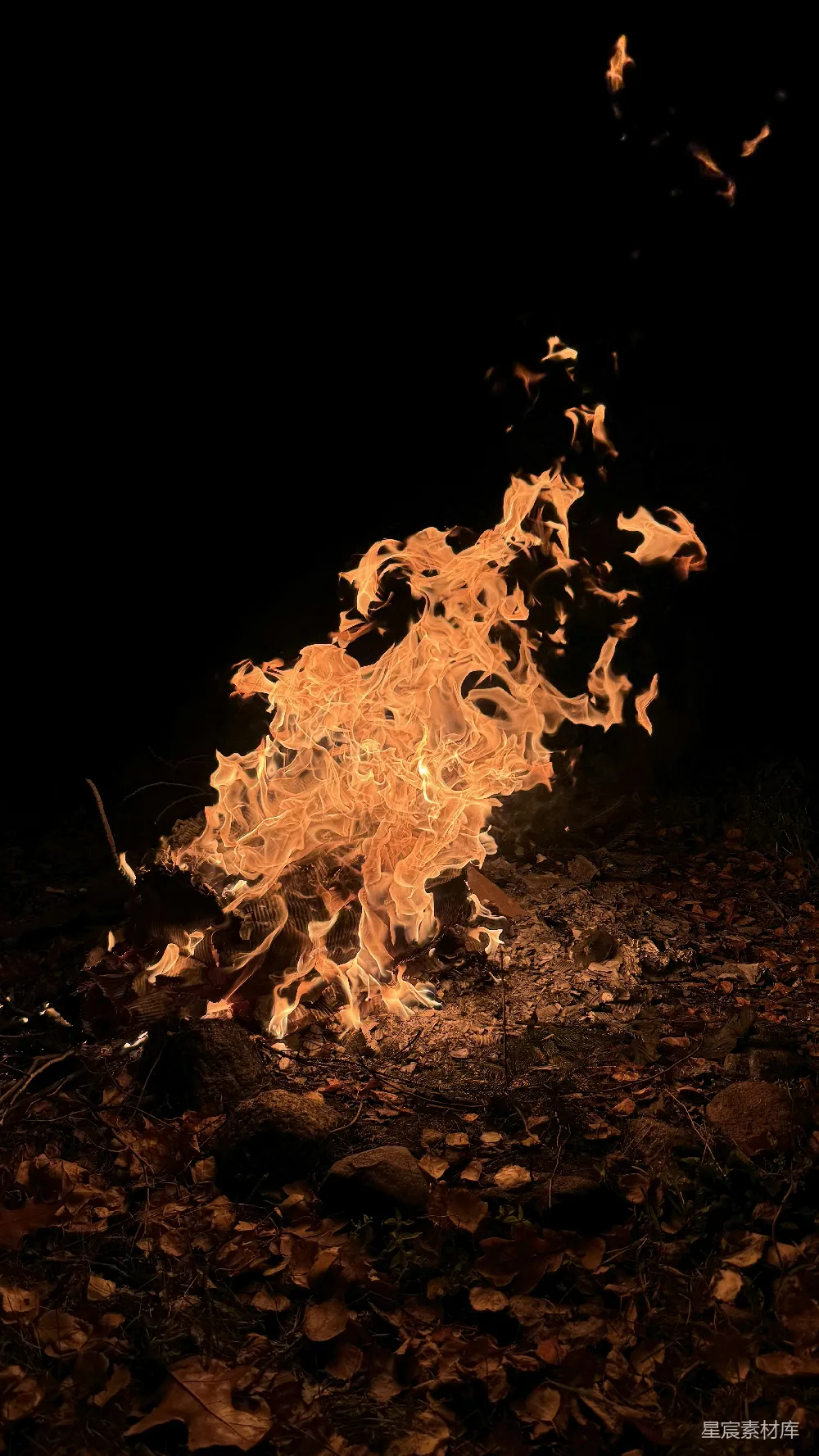 高清摄影 篝火 夜晚 自然 温暖 户外 夜幕下的篝火