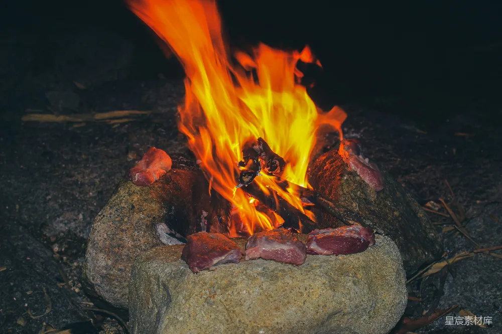 高清摄影 篝火 烤肉 户外 夜景 美食 篝火上的烤肉