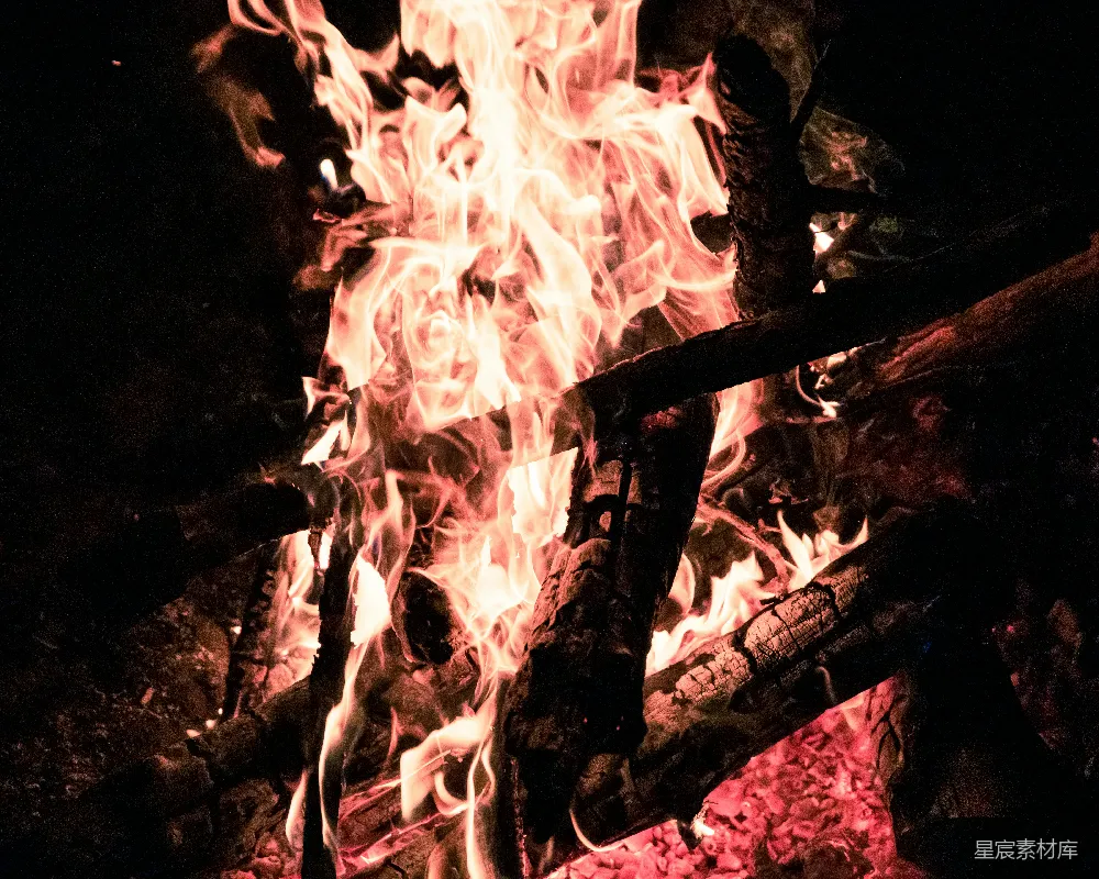 高清摄影 篝火 夜晚 温暖 自然 户外 篝火的夜晚