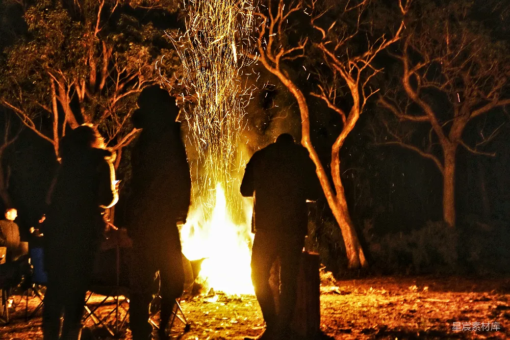 高清摄影 篝火 夜晚 户外 聚会 温暖 篝火晚会