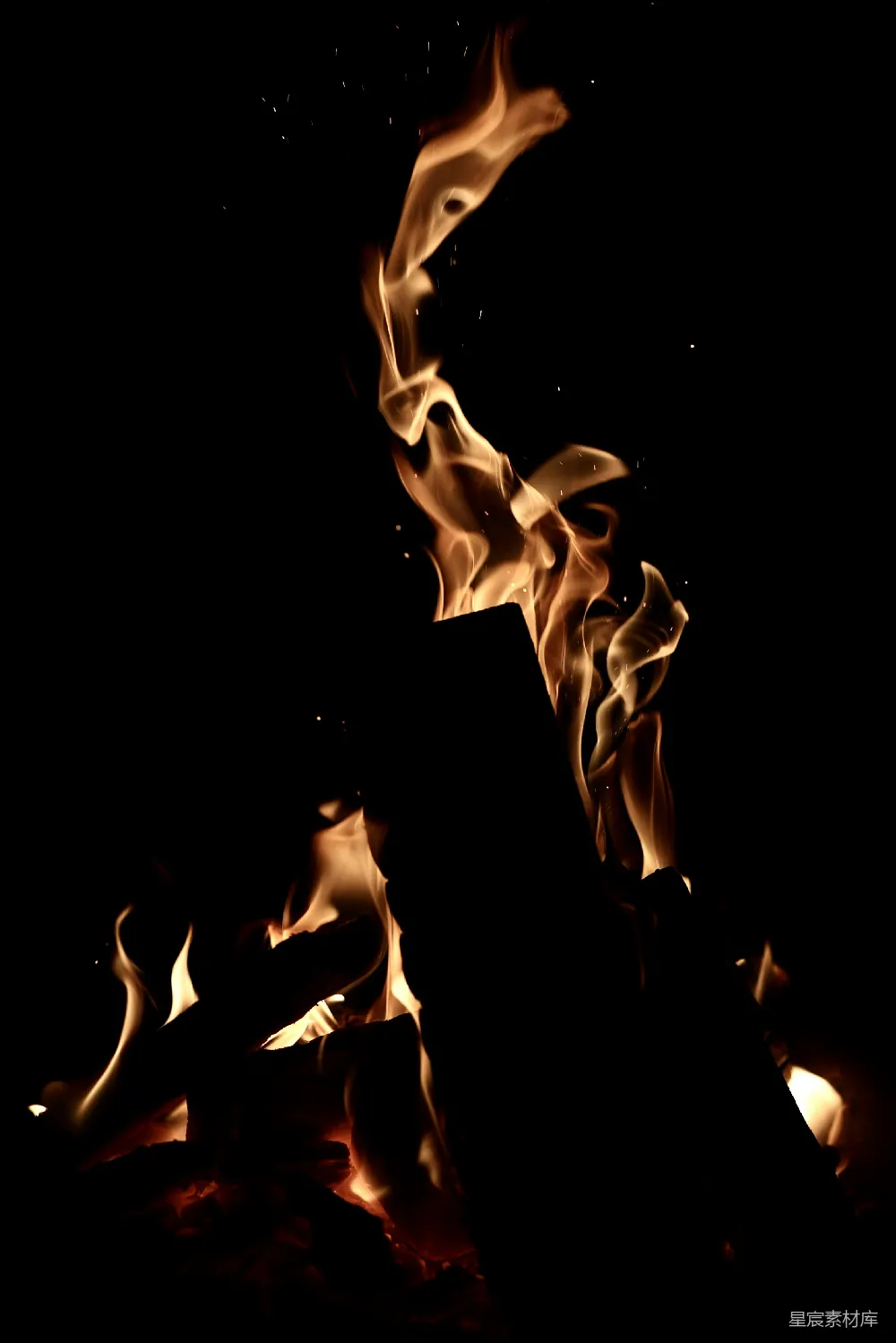 高清摄影 篝火 夜晚 温暖 自然 户外 夜幕下的篝火