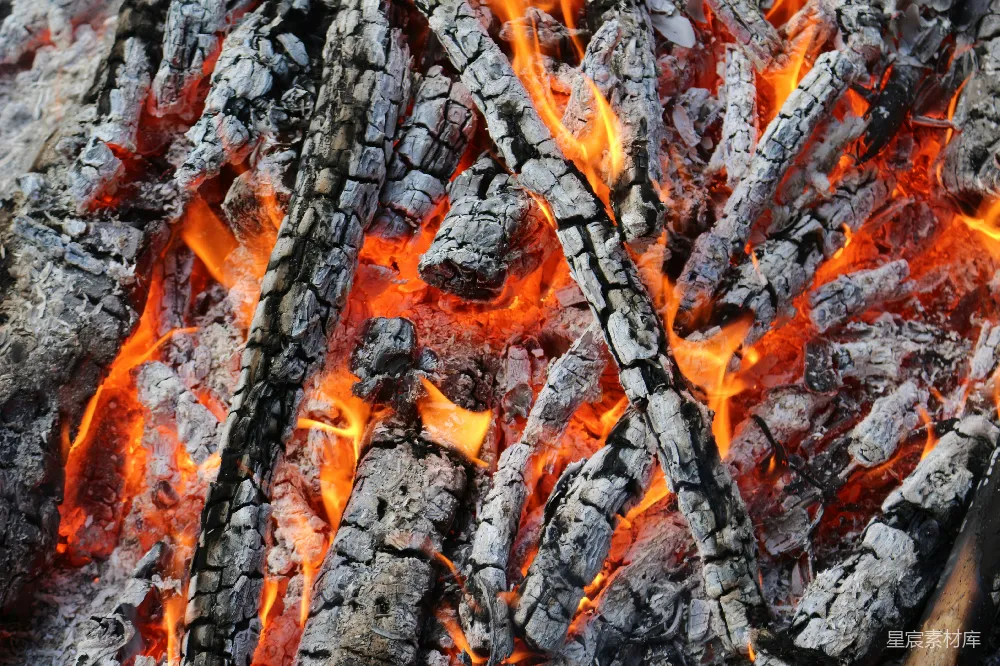 高清摄影 篝火 火光 户外 温暖 自然 熊熊燃烧的篝火
