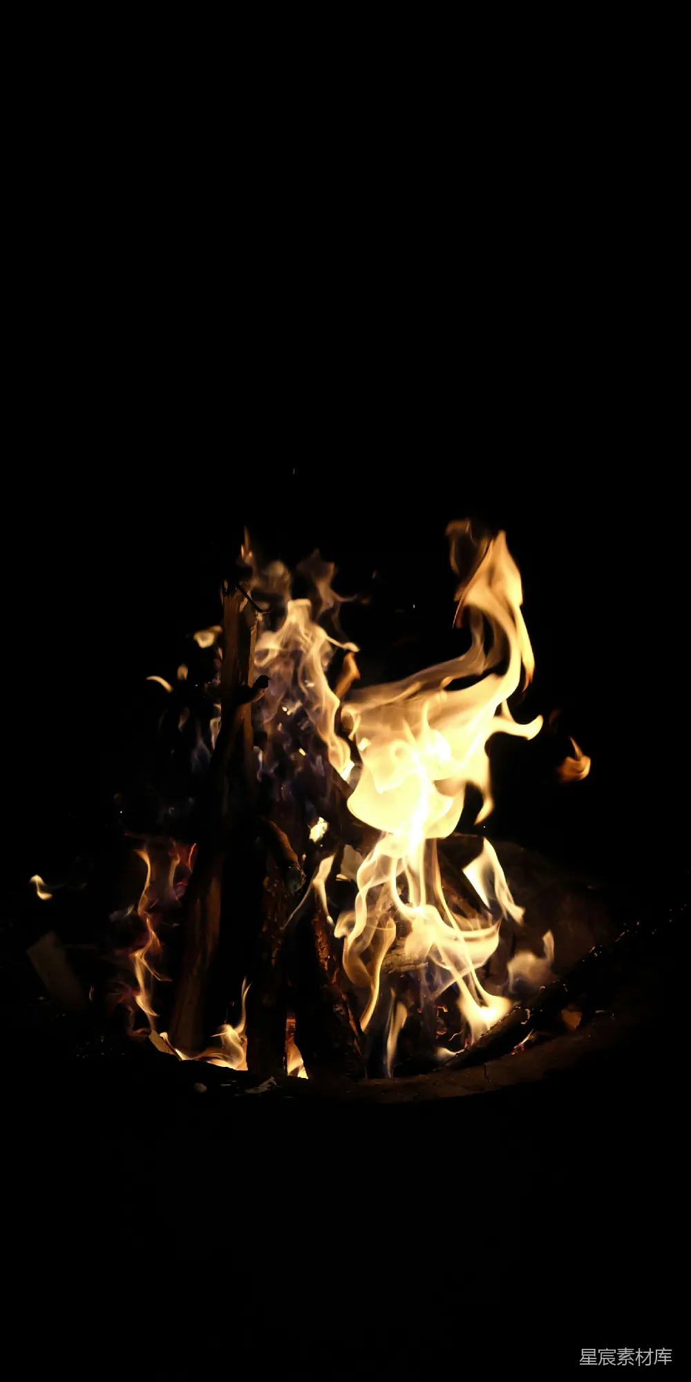 高清摄影 篝火 温暖 夜晚 自然 休闲 篝火的温暖