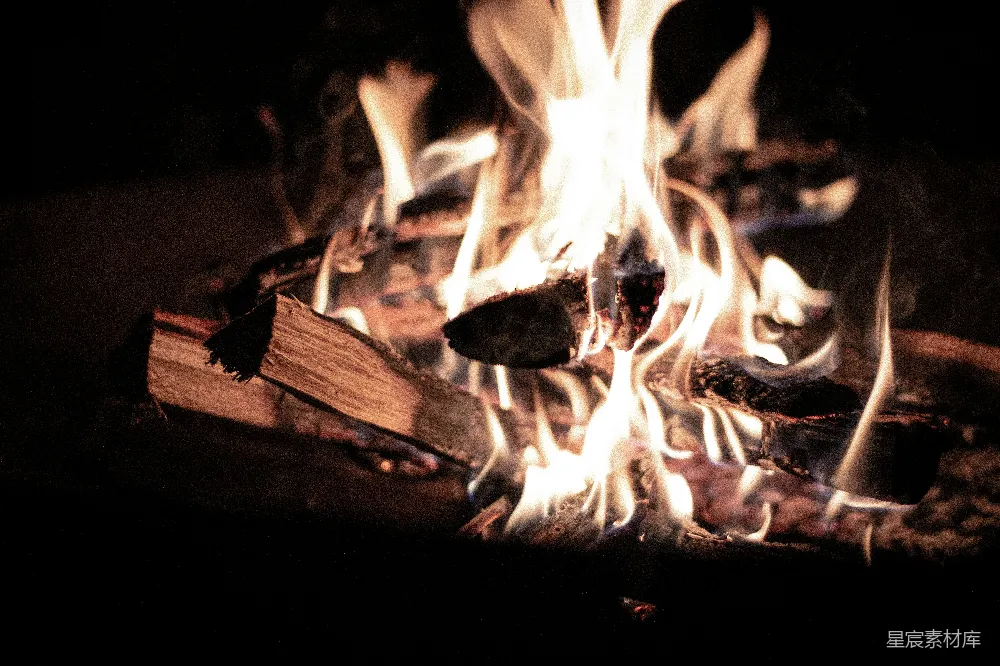 高清摄影 篝火 夜晚 温暖 自然 户外 篝火夜景