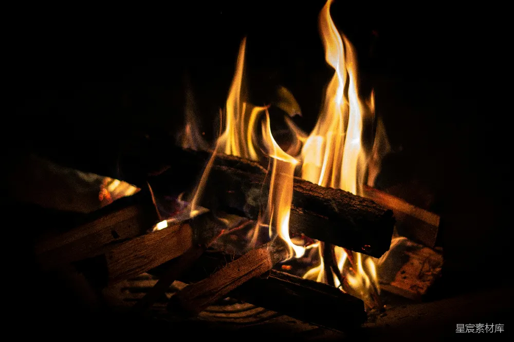 高清摄影 篝火 温暖 夜晚 自然 户外 篝火夜的温暖