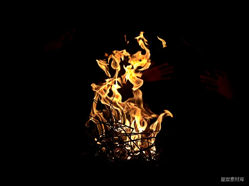 高清摄影 篝火 温暖 夜晚 自然 户外 温暖的篝火