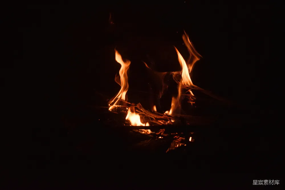 高清摄影 篝火 夜景 温暖 自然 宁静 篝火的温暖