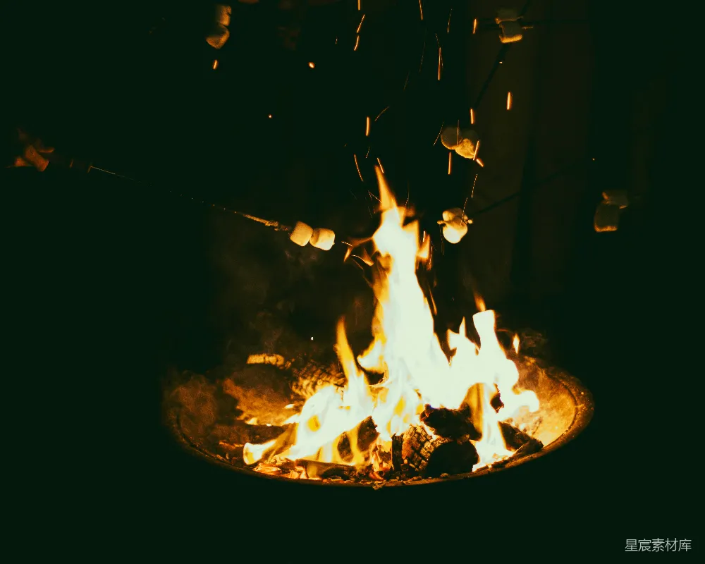 高清摄影 篝火 棉花糖 夜晚 户外活动 温暖 篝火上的棉花糖