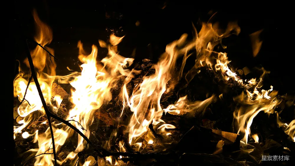 高清摄影 篝火 温暖 夜晚 自然 户外 篝火的温暖