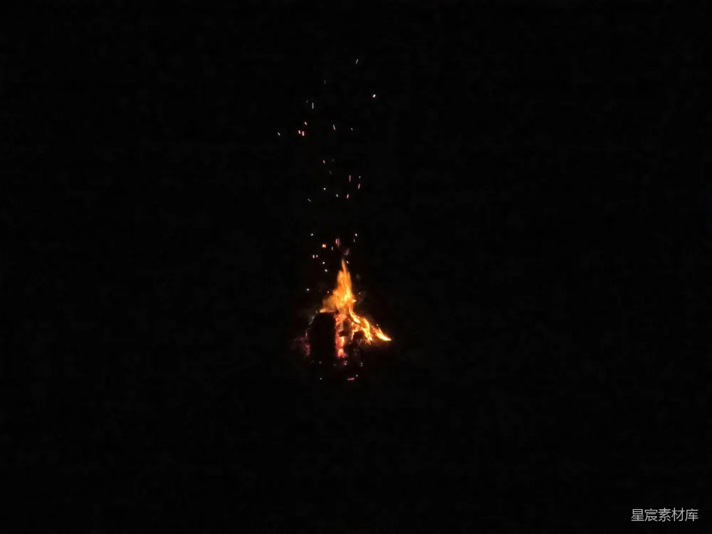 高清摄影 篝火 夜晚 自然 温暖 户外 夜空下的篝火