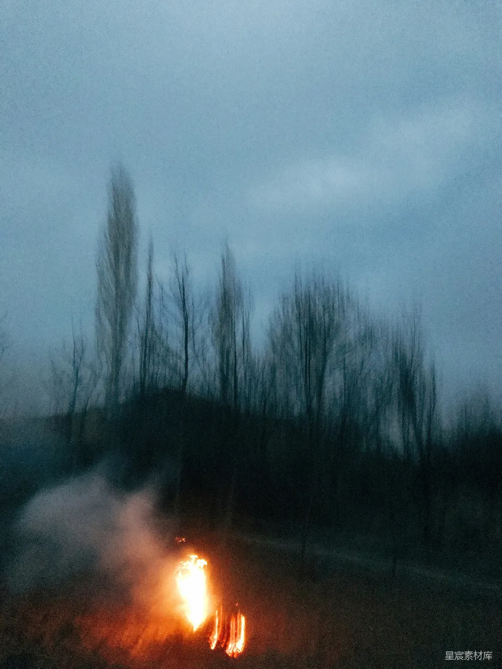高清摄影 雾 篝火 森林 自然 宁静 雾中的篝火
