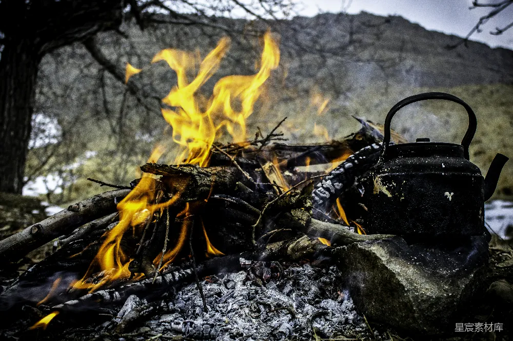 高清摄影 野营 篝火 茶壶 自然 户外 篝火旁的茶壶