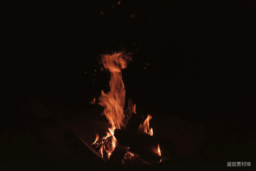 高清摄影 篝火 夜晚 温暖 户外活动 自然 夜幕下的篝火