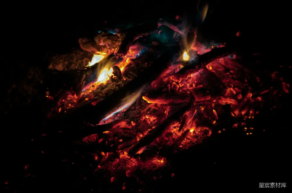 高清摄影 篝火 夜景 温暖 自然 户外 夜晚的篝火