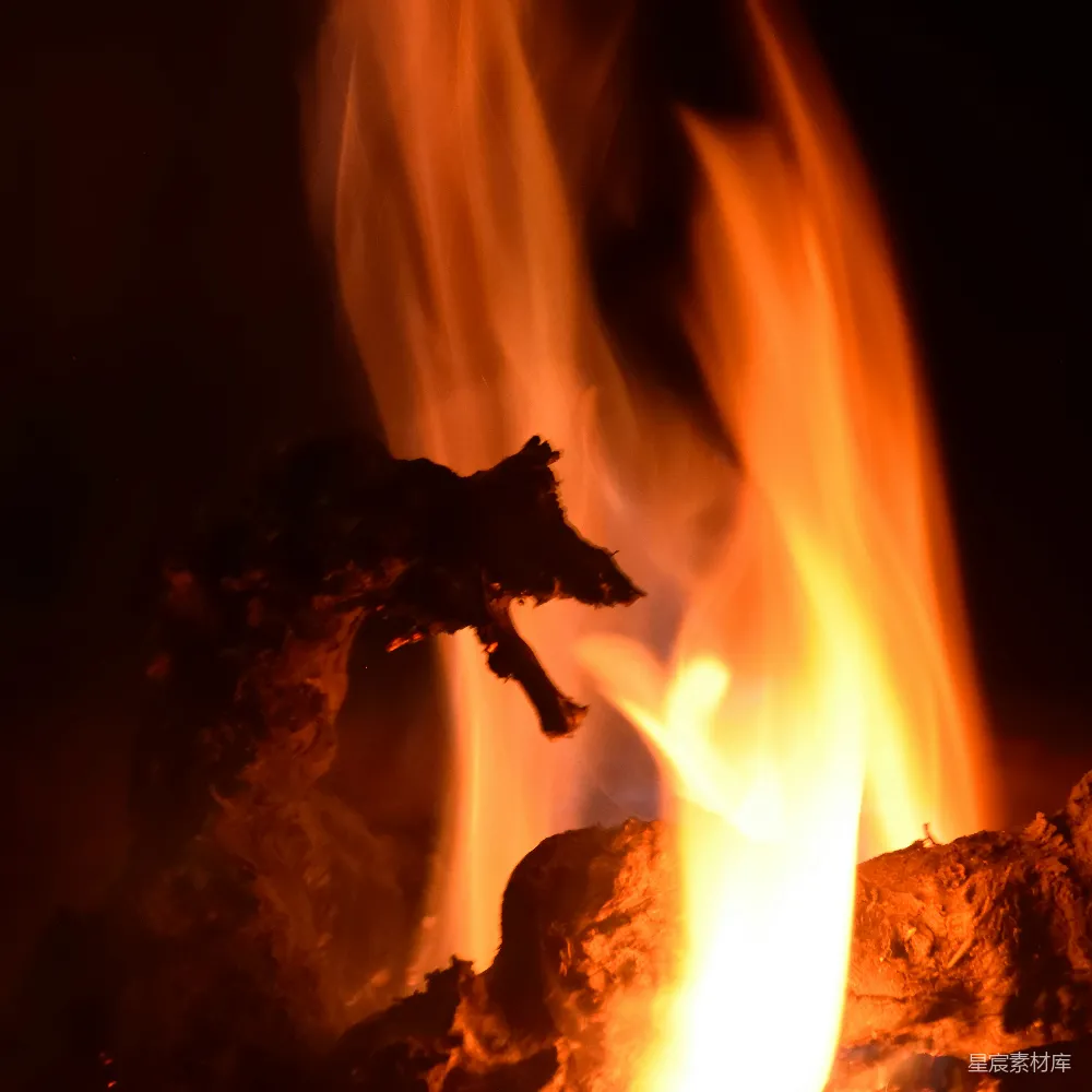 高清摄影 火焰 温暖 自然 夜景 生活 温暖的火焰