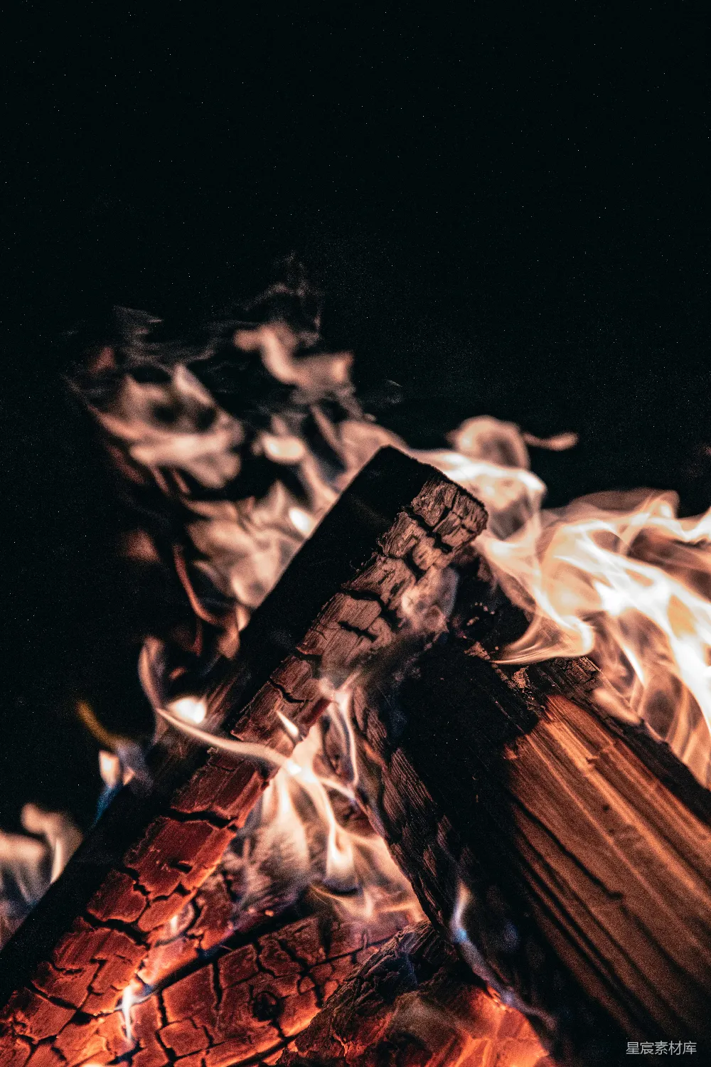 高清摄影 篝火 夜景 温暖 自然 户外 篝火的温暖