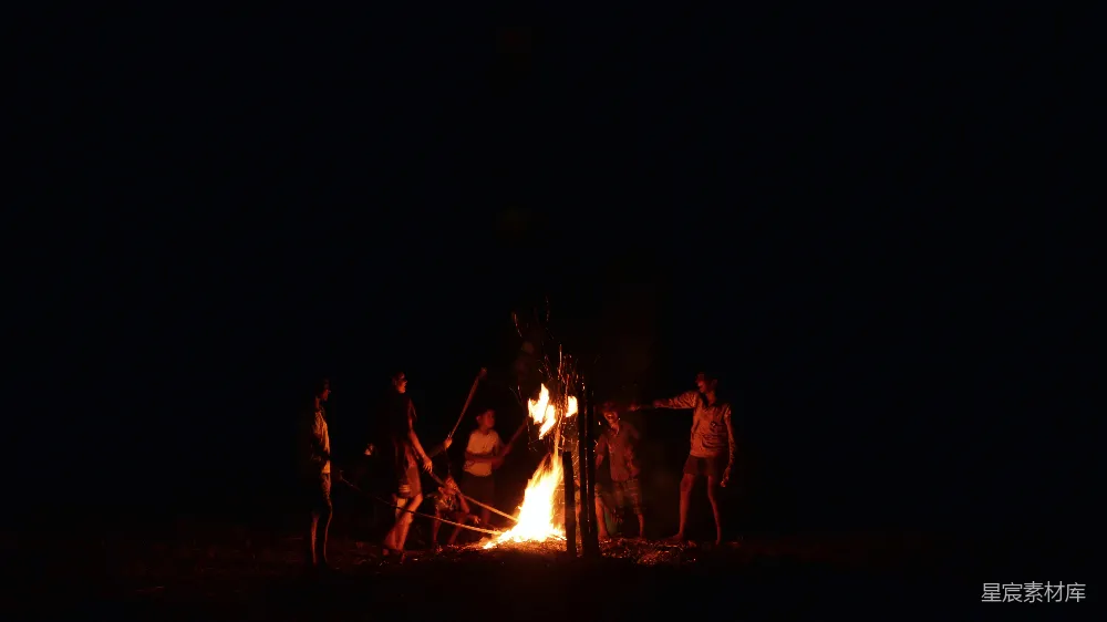 高清摄影 篝火 夜晚 户外活动 朋友聚会 自然 篝火夜谈
