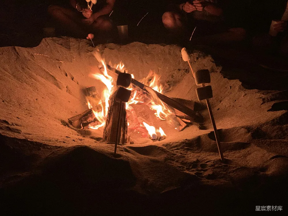 高清摄影 篝火 棉花糖 海滩 夜晚 户外活动 篝火旁的棉花糖时光
