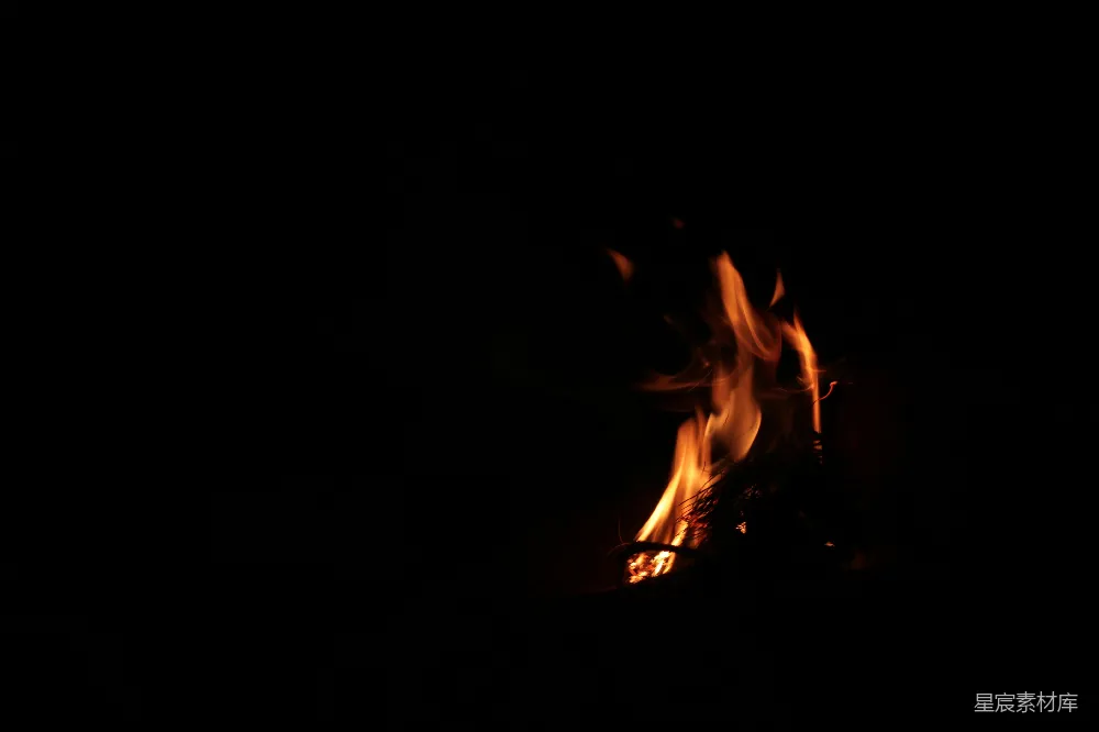 高清摄影 篝火 夜晚 温暖 自然 宁静 夜幕下的篝火