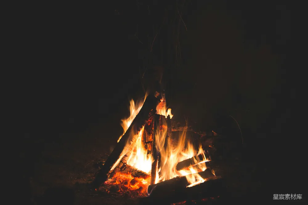 高清摄影 篝火 夜晚 温暖 自然 户外 篝火夜晚