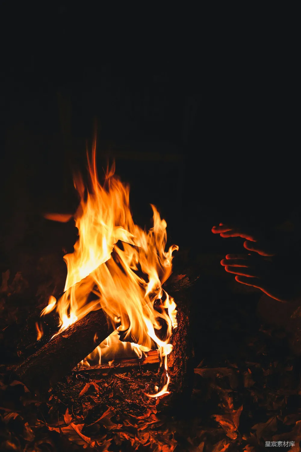 高清摄影 篝火 温暖 户外 夜晚 放松 篝火旁取暖