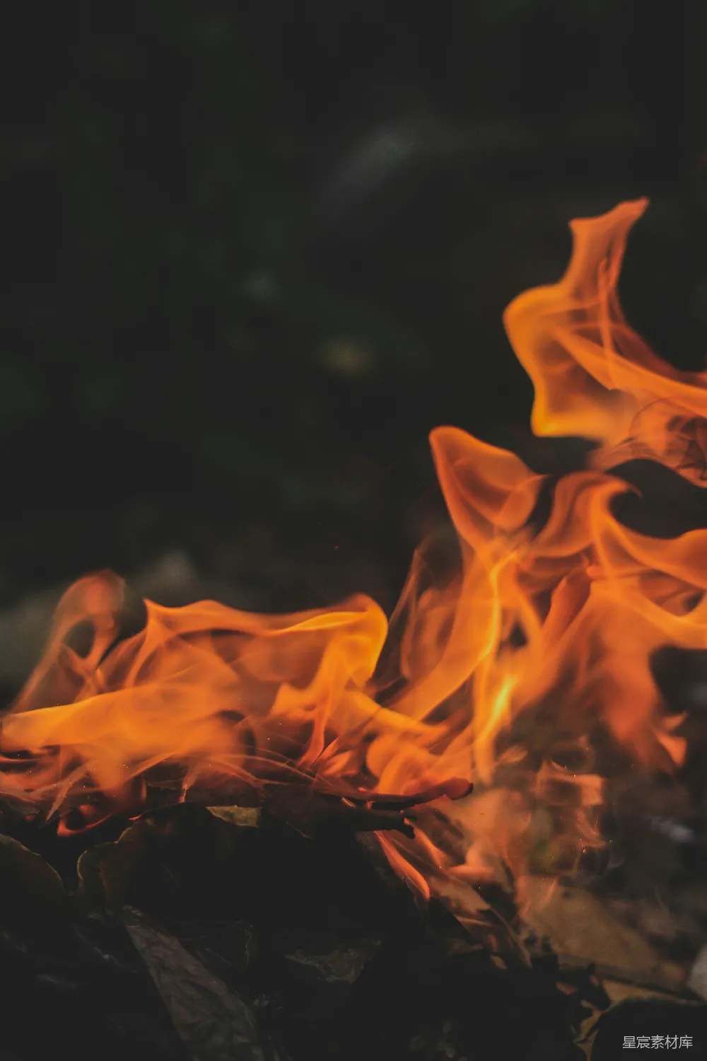 高清摄影 火焰 火焰效果 燃烧 热能 自然 燃烧的火焰