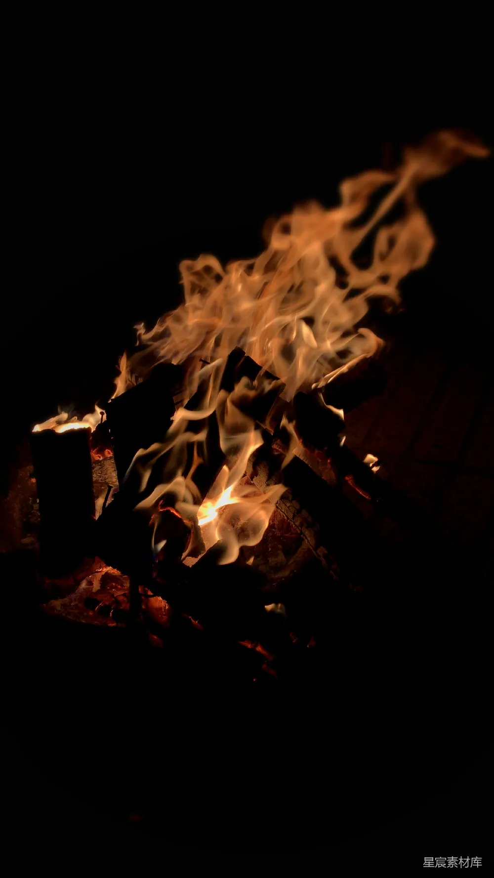 高清摄影 篝火 夜晚 温暖 自然 户外 夜晚的篝火