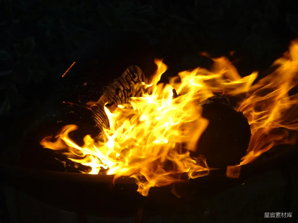 高清摄影 篝火 火焰 夜晚 温暖 户外 篝火燃烧