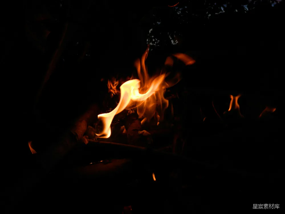 高清摄影 篝火 夜晚 户外 温暖 宁静 篝火夜景