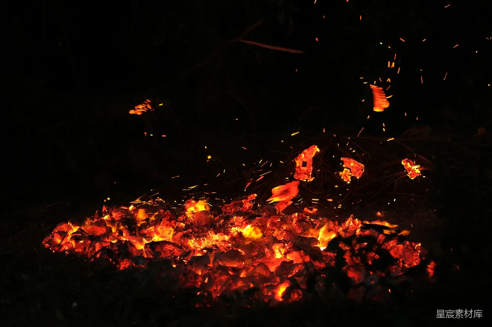 高清摄影 篝火 夜晚 温暖 户外 自然 夜间的篝火