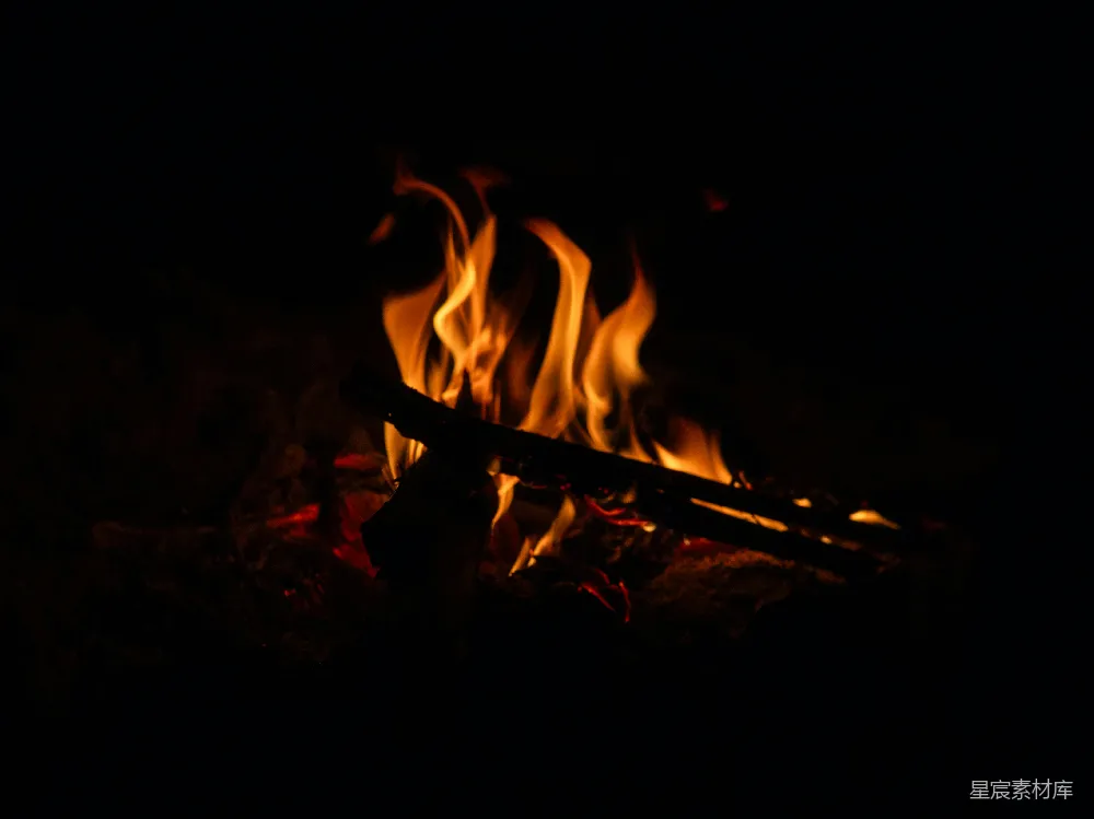 高清摄影 篝火 温暖 夜晚 自然 户外 篝火的温暖