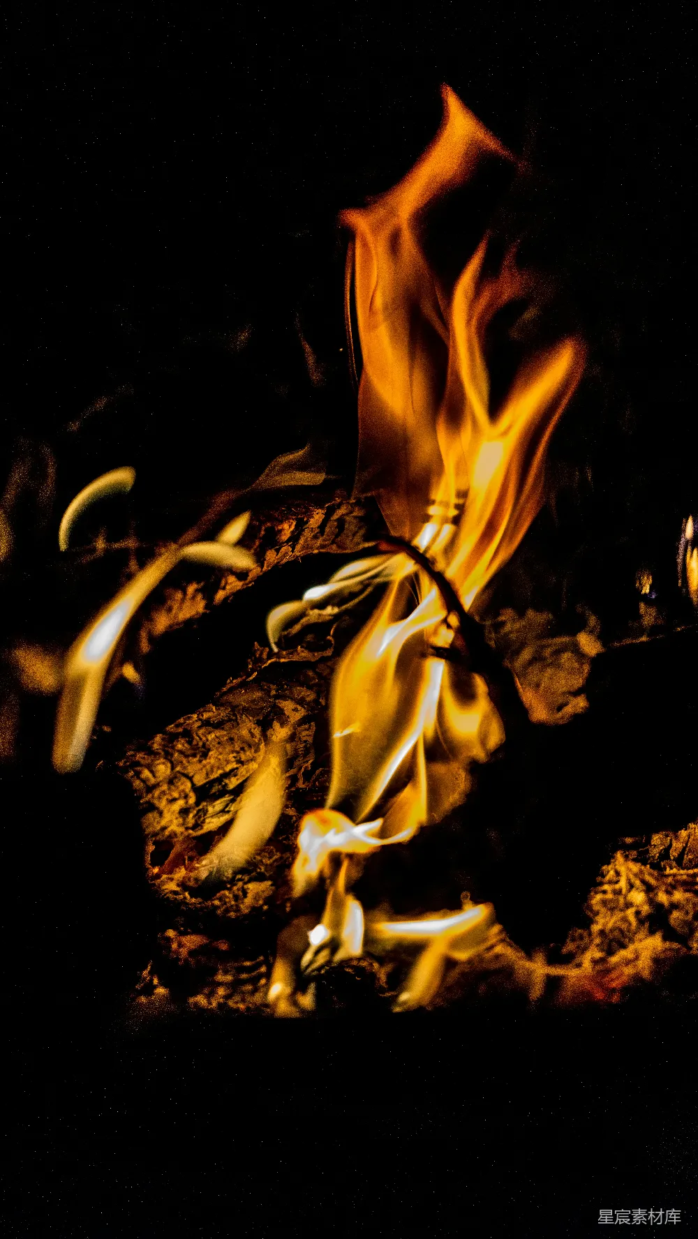 高清摄影 篝火 火焰 夜晚 自然 温暖 熊熊燃烧的篝火