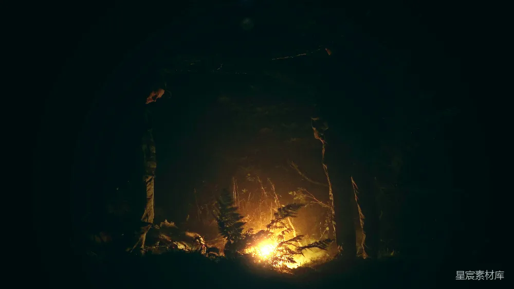 高清摄影 夜晚 篝火 帐篷 自然 户外 夜晚帐篷中的篝火