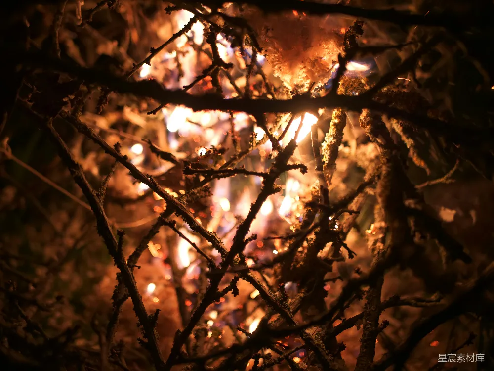 高清摄影 篝火 夜晚 自然 温暖 户外 夜幕下的篝火