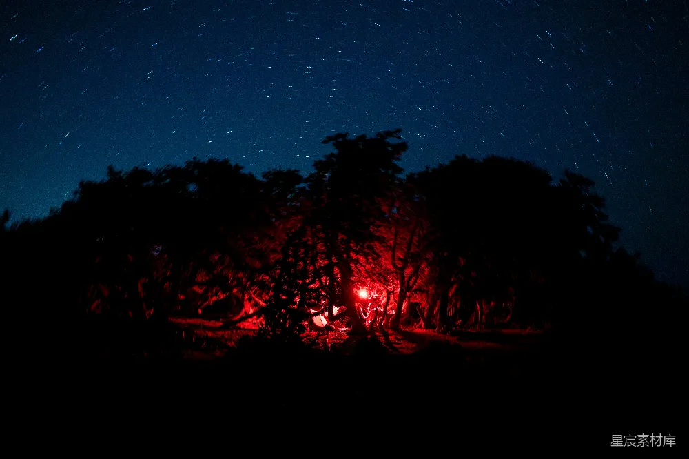 高清摄影 夜景 森林 篝火 星空 户外 夜空下的篝火