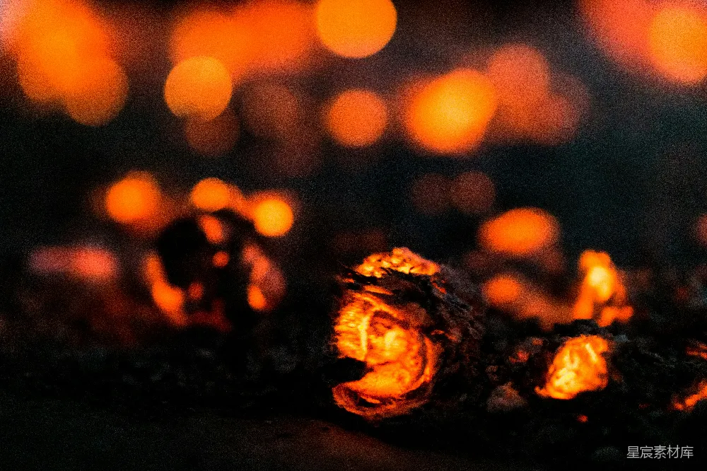 高清摄影 篝火 夜景 温暖 自然 户外 夜幕下的篝火