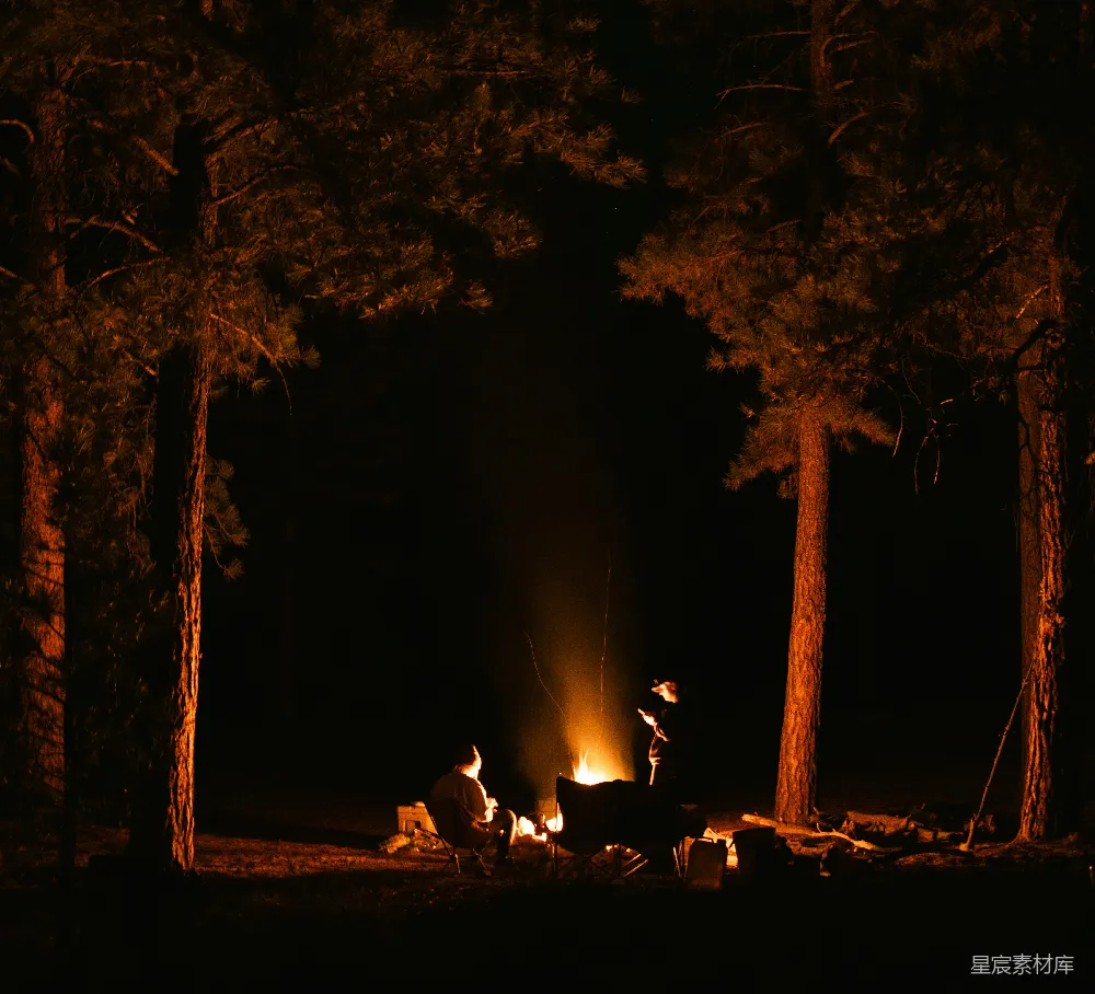 高清摄影 篝火 夜晚 森林 户外 休闲 篝火夜话
