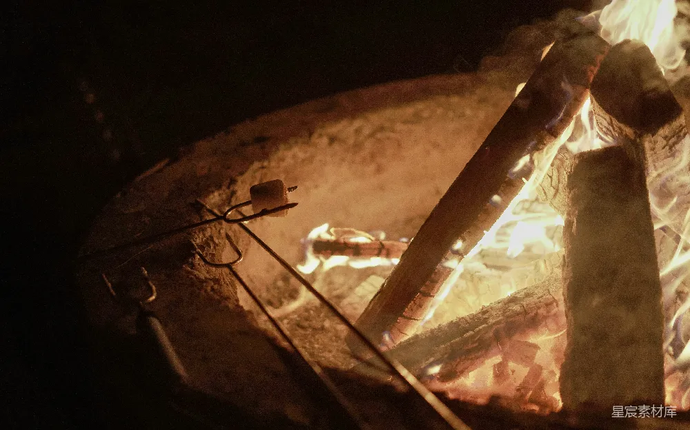 高清摄影 夜晚 篝火 棉花糖 休闲时光 户外活动 篝火上的棉花糖