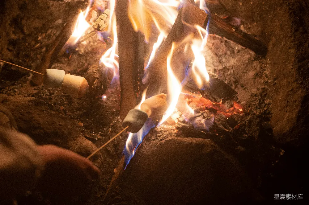 高清摄影 篝火 棉花糖 户外活动 温暖 休闲 篝火旁烤棉花糖的温馨时刻